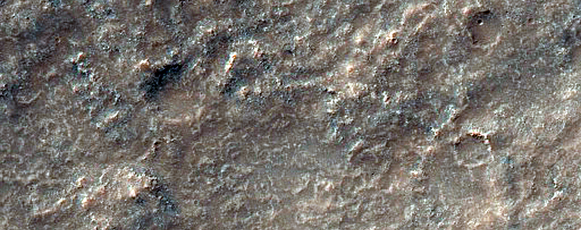 Albedo Monitoring in Solis Planum