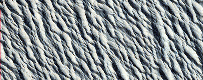 Monitoring Site in Northern Amazonis Planitia
