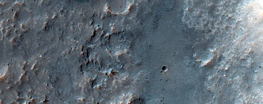 Possible Phyllosilicate-Rich Exposure on Solis Planum Crater Rim