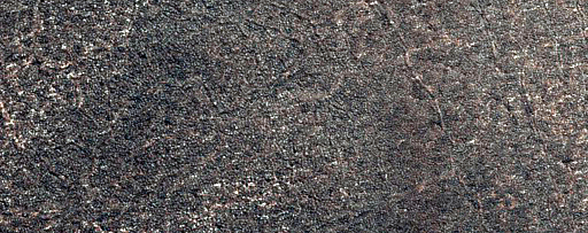Terrain Sample