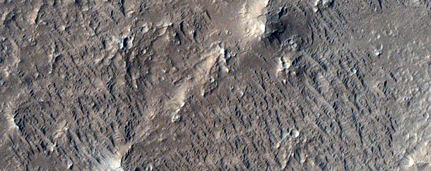Wrinkle Ridge