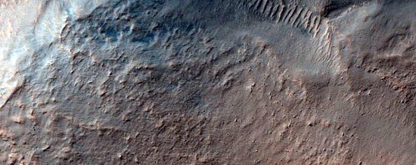 Terrain Sample