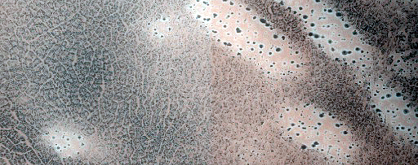 Dune Monitoring in Crater