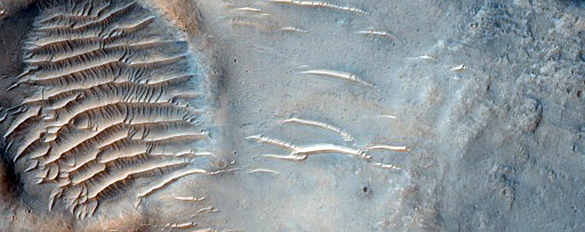 Group of Channels Northeast of Hellas Planitia