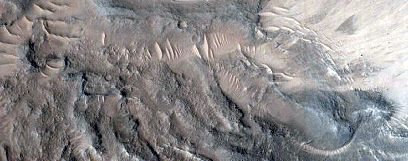 Gully Monitoring