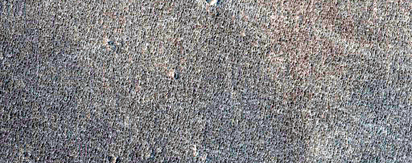 Terrain Sample