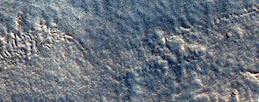 Terrain Sample
