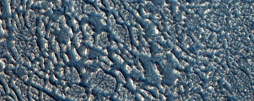 Periglacial Terrain in Protonilus Mensae