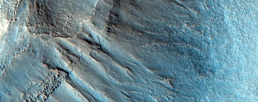 Gully Monitoring