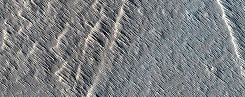 Candidate Recent Impact Site