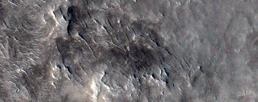 Ridge in Northern Mid-Latitudes