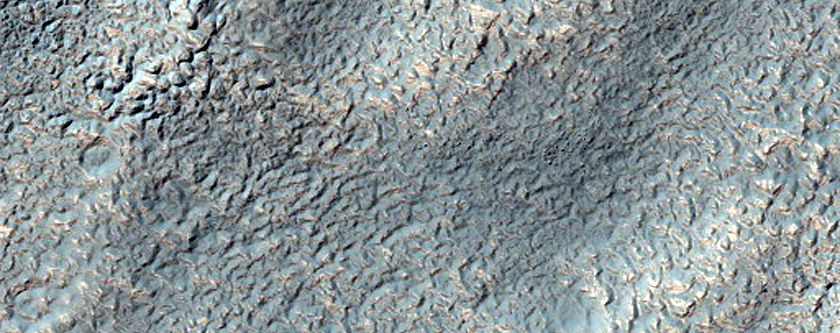 Delta in Warrego Valles