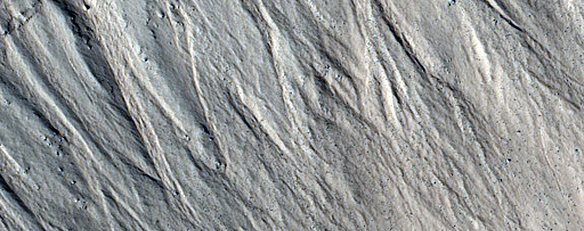 Gully Monitoring