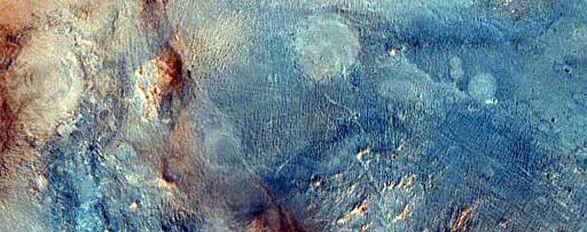 Nili Fossae Phyllosilicates and Mafic Minerals
