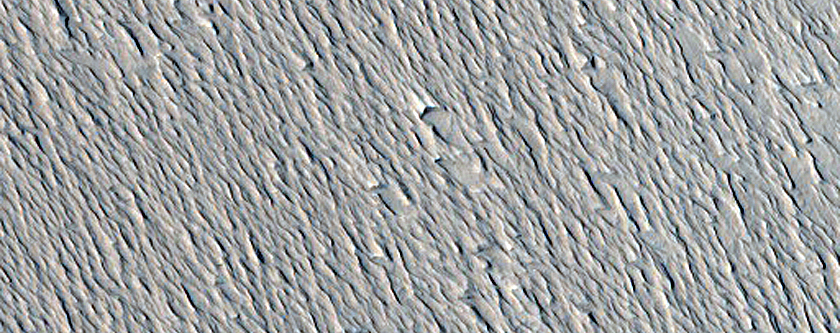 Context Camera Stereo Image