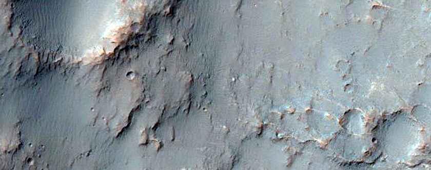 Hydrated Materials in Columbus Crater