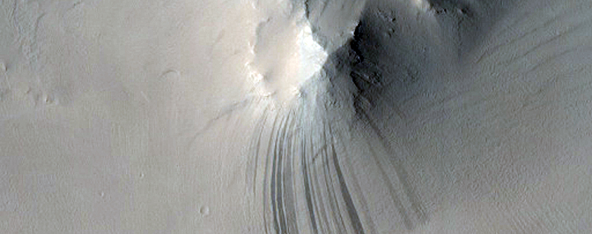 Context Camera Stereo Image