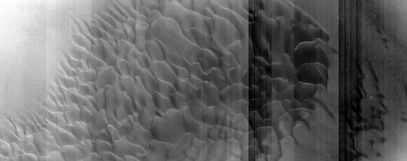 Dune Monitoring in Crater