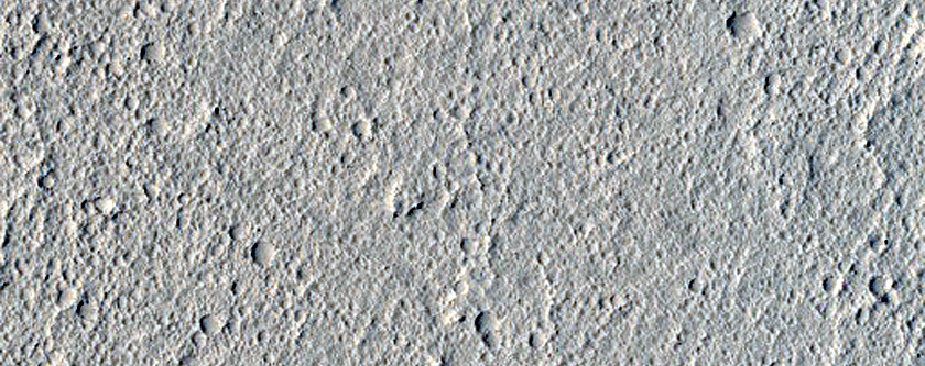 Elysium Planitia Lava