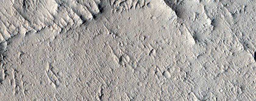 Paleodunes