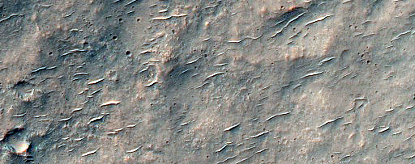 Chloride-Rich Terrain