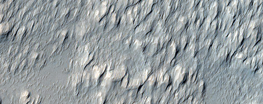 Daedalia Planum