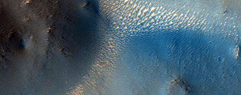 Terrain Sample