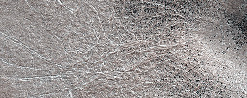 Terrain Sample