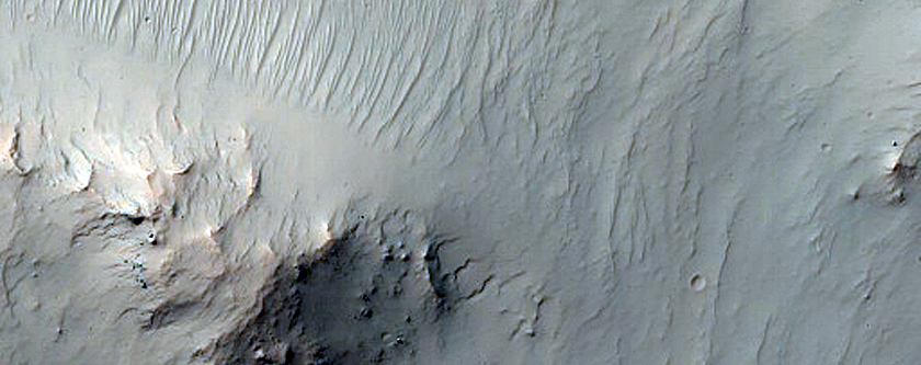 Gullies with Bright Fans in Noachis Terra