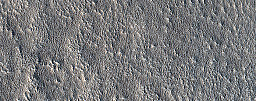 Impact Monitoring in Arcadia Planitia