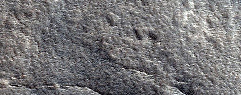 Northern Plains Terrain