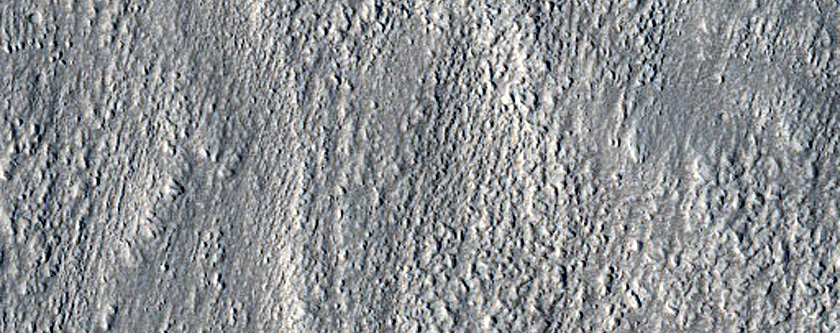 Lobate Glacier with Fresh Impact