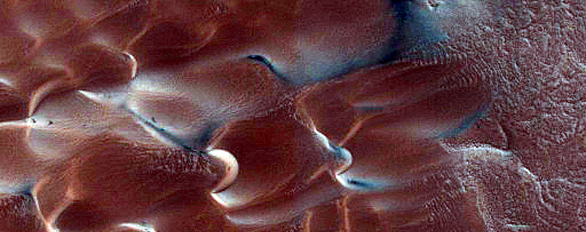 Dunes Dubbed Buzzel