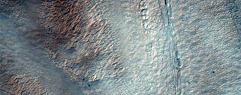 Southern Crater Wall Gullies in Latitude-Dependent Mantle