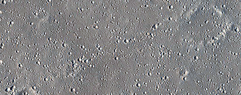 Elysium Planitia