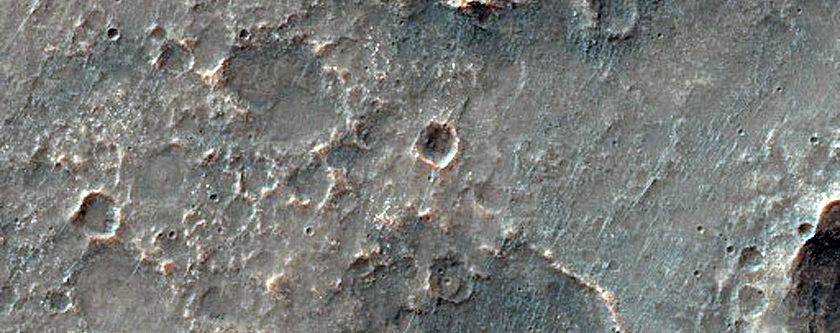 Albedo Monitoring in Solis Planum