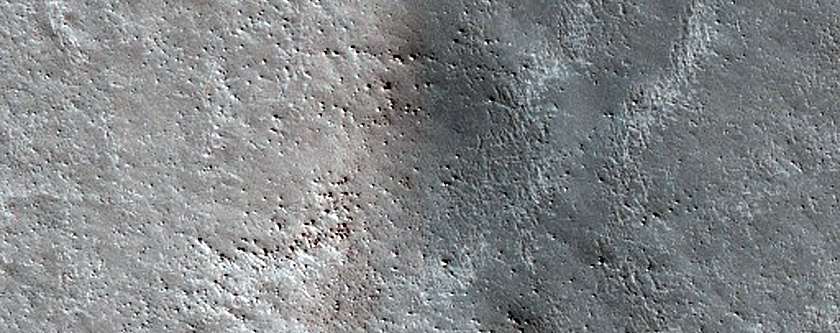 Terrain Sample