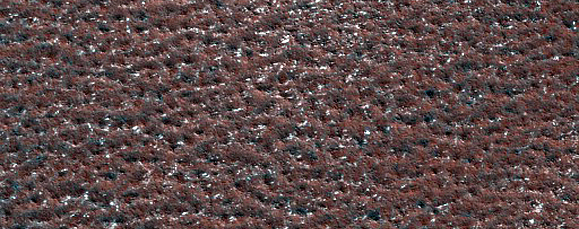 Northern Plains Terrain Sample