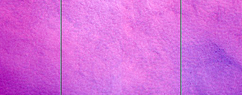 Terrain Sample