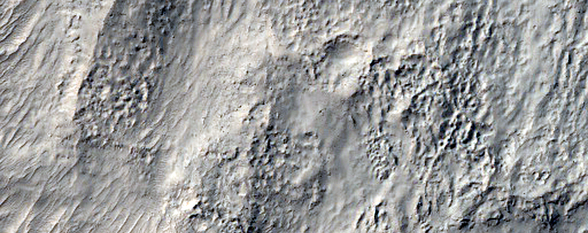 Possible Olivine-Rich Materials on Terra Sirenum Crater Floor