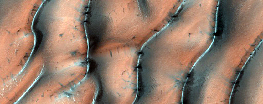 North Polar Dunes