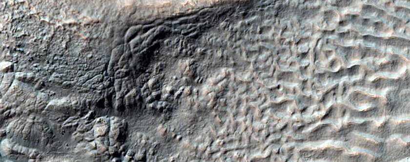 Hollows in Southern Mid-Latitude Crater