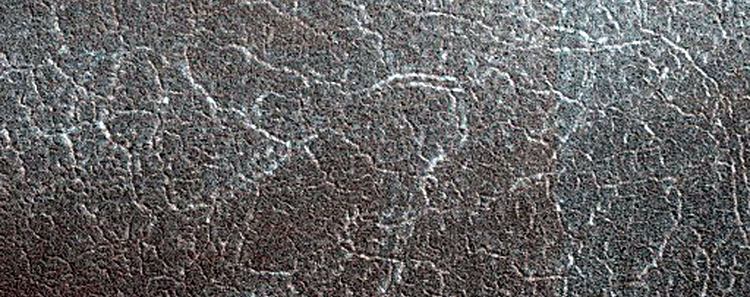 Terrain Sample