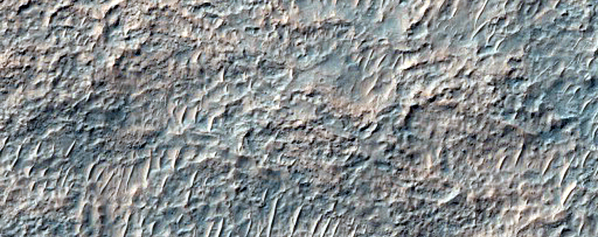 Possible Olivine-Bearing Materials Exposed by Crater West of Newton Crater