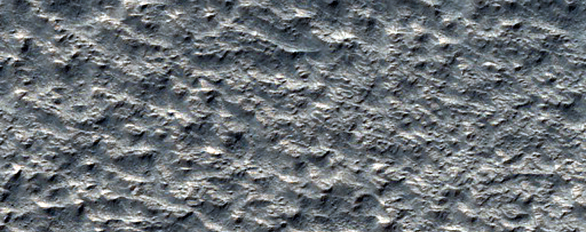 Terrain Sample