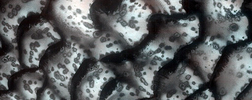 Dune Monitoring in Crater