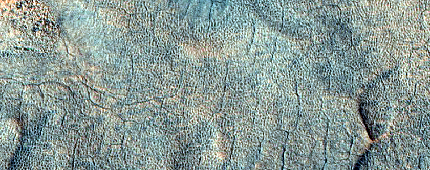 Utopia Planitia Scallops and Polygons