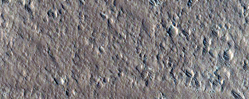 Amazonis Planitia