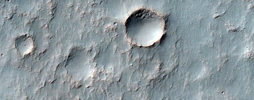Gullies in Southern Mid Latitude Crater in Sirenum Fossae