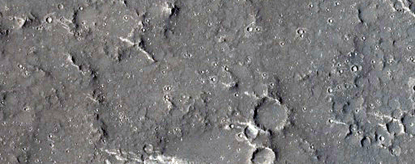 Elysium Planitia